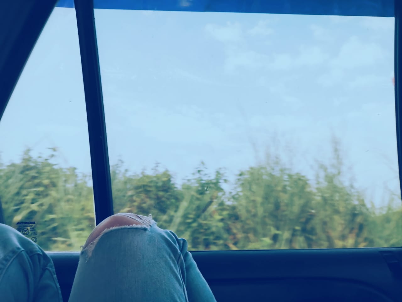 WhatsApp Image 2020-05-07 at 18.03.52